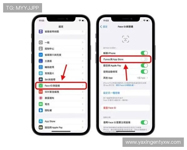 亚星222官网苹果手机app下载安装步骤详解及常见问题解决方案